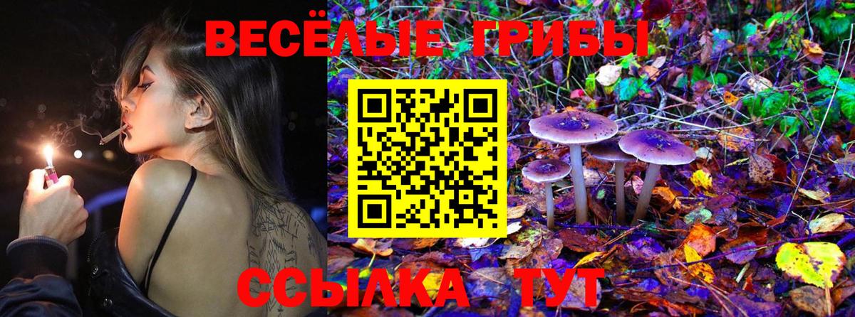 Псилоцибиновые грибы Magic Shrooms  Вход с VPN  Псилоцибиновые грибы Cubensis  Тольятти 